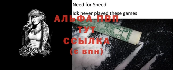 стаф Абинск