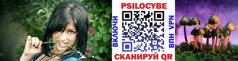 нарко площадка Telegram  Кимовск  Псилоцибиновые грибы Psilocybe  где продают наркотики 